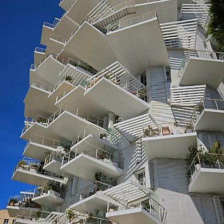 Arbre Blanc, Une Folie Montpellieraine Luaran gambar
