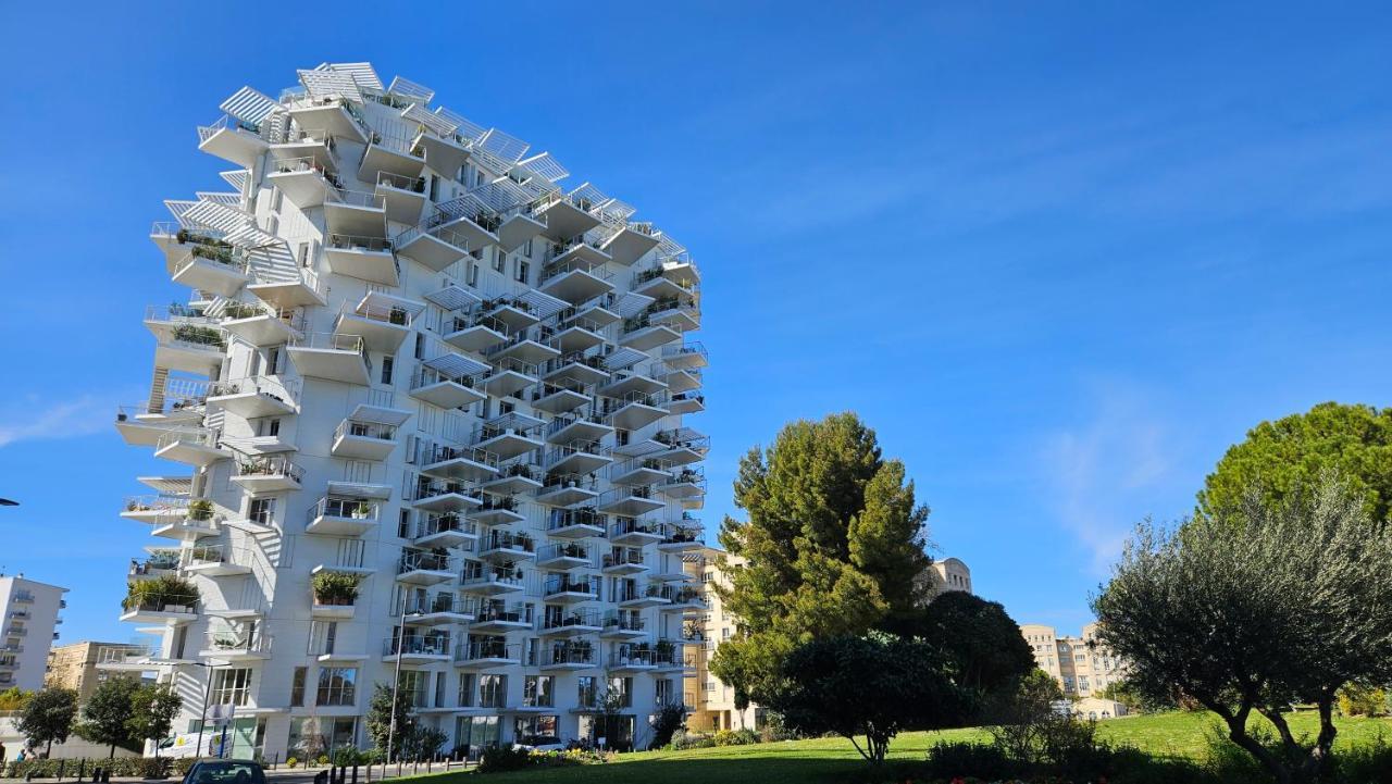 Arbre Blanc, Une Folie Montpellieraine Luaran gambar